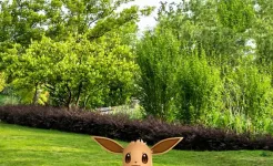 Screenshot Pokémon GO