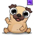 Pug – My Virtual Pet Dog