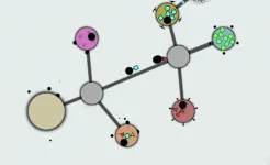 Screenshot Achikaps Pro