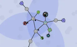 Screenshot Achikaps Pro