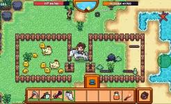 Screenshot Pixel Survival Game 3
