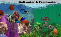Screenshot Fish Farm 2