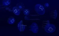 Screenshot Fish Farm 3 – Aquarium
