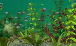 Screenshot Fish Farm 3 – Aquarium