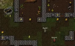 Screenshot 9th Dawn RPG
