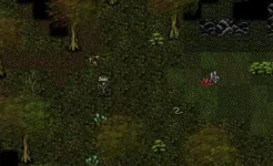 Screenshot 9th Dawn RPG