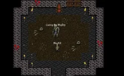Screenshot 9th Dawn RPG