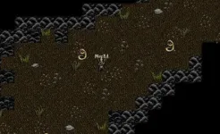 Screenshot 9th Dawn RPG