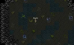 Screenshot 9th Dawn RPG
