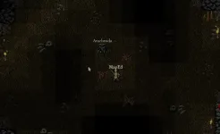 Screenshot 9th Dawn RPG