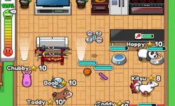 Screenshot Pet idle